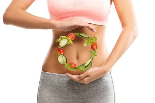 Synogut-healthy-digestion-effecient